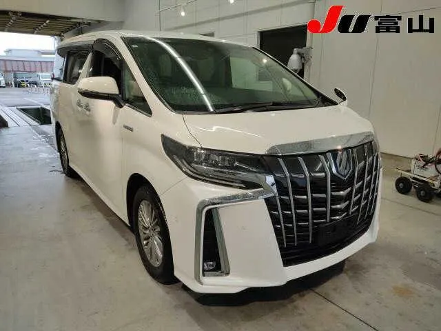 Toyota Alphard 4WD HYBRID SR  обзор комплектаций · 2018 – Außenansicht (Auktionsfoto)